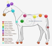 chakras paarden uitgebreid